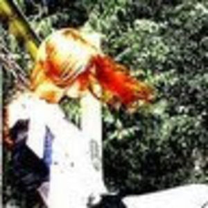 Meet your Posher, Jenette